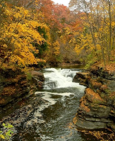 Ithaca is Gorges: photo 2