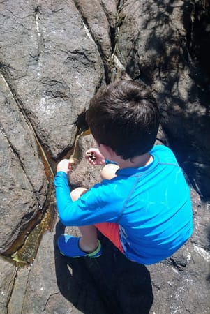 Cockle Creek: The end of the road adventure with kids: photo 7
