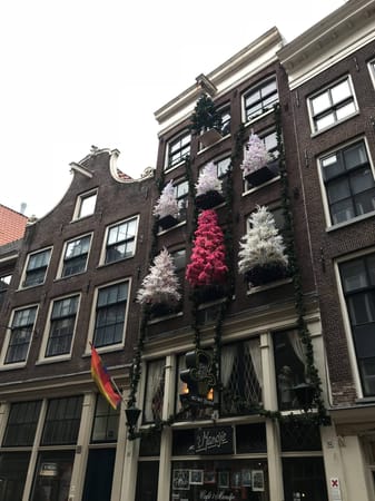 One more weekend in Amsterdam: photo 1