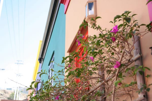 A Walk Through Bo Kaap: Cape Town’s Colourful Neighbourhood: photo 8