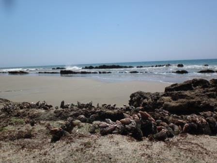Mancora: Beach Gem of the Northern Peruvian coast: photo 13