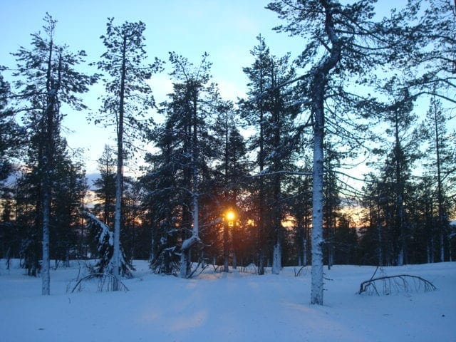 Finland Lapland : Levi the Winter Wonderland