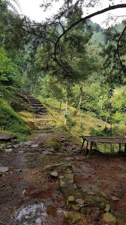 One-day trip to Bogor: Temples, Waterfalls and More!: photo 5