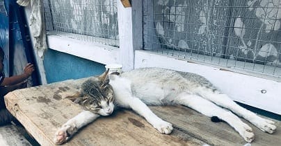 A wanderer’s guide on a Road Trip to Tawang: photo 3