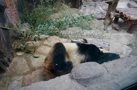 Ideal Itinerary for Beijing Tour: photo 27