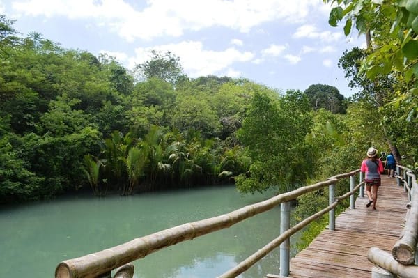 Bojo River Cruisin: photo 6