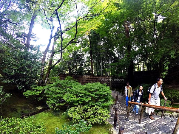 8 Must-See Spots in Kyoto: photo 20