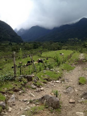 Colombia: photo 3