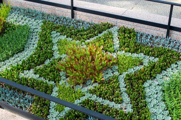 A Whimsical Experience in Hamamatsu, Japan: photo 30