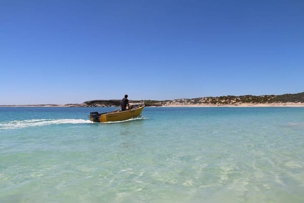 Innes National Park: The Beach Dweller: photo 5