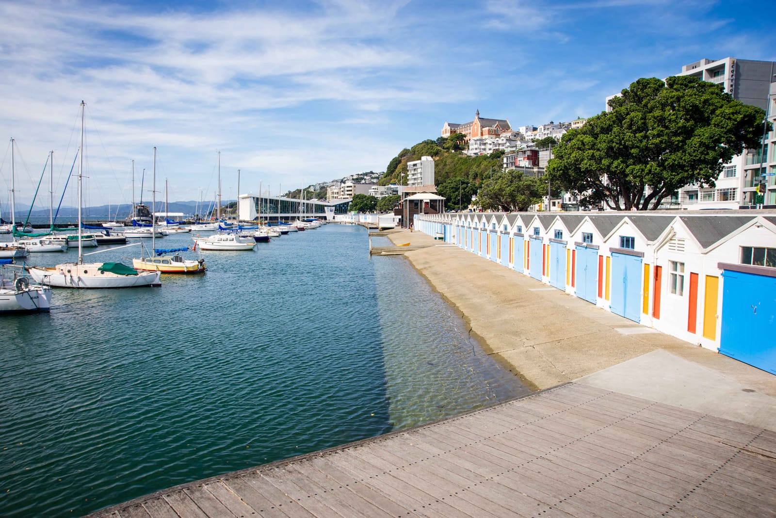 A Visit to Wellington, New Zealand