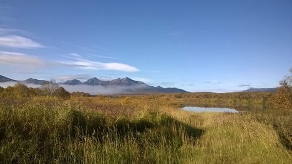 Kamchatka: 7 Reasons to fly to the end of the world: photo 7