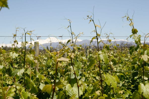 5 things I learned from traveling around Argentina: photo 2