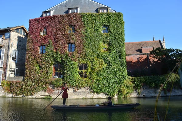 Cambridge: A city to fall in love with: photo 12