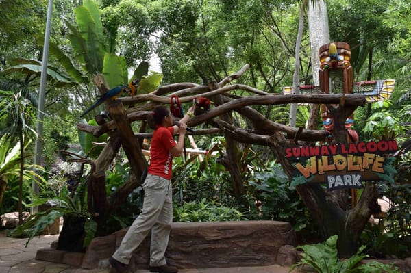 7 Must Visit Places in Kuala Lumpur: photo 5