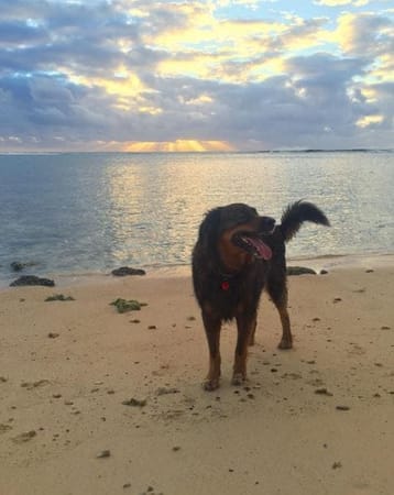 A Complete Guide to Rarotonga: photo 1