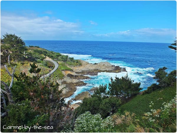 USA: Big Sur, the iconic Roadtrip: photo 8
