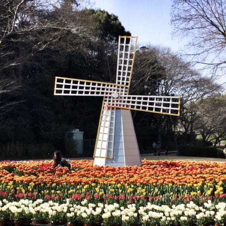 A Whimsical Experience in Hamamatsu, Japan: photo 33