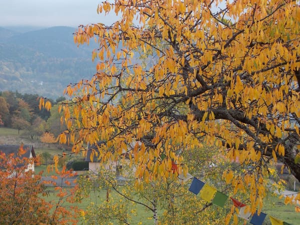 A visual journey of the French countryside: Valley of Munster: photo 3