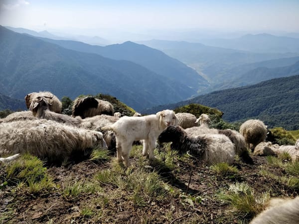 Nepal - A Warm, Vibrant Gem hidden in the Himalaya Mountains: photo 1