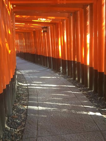 Japan: More Than Just Mangas and Animes: photo 7