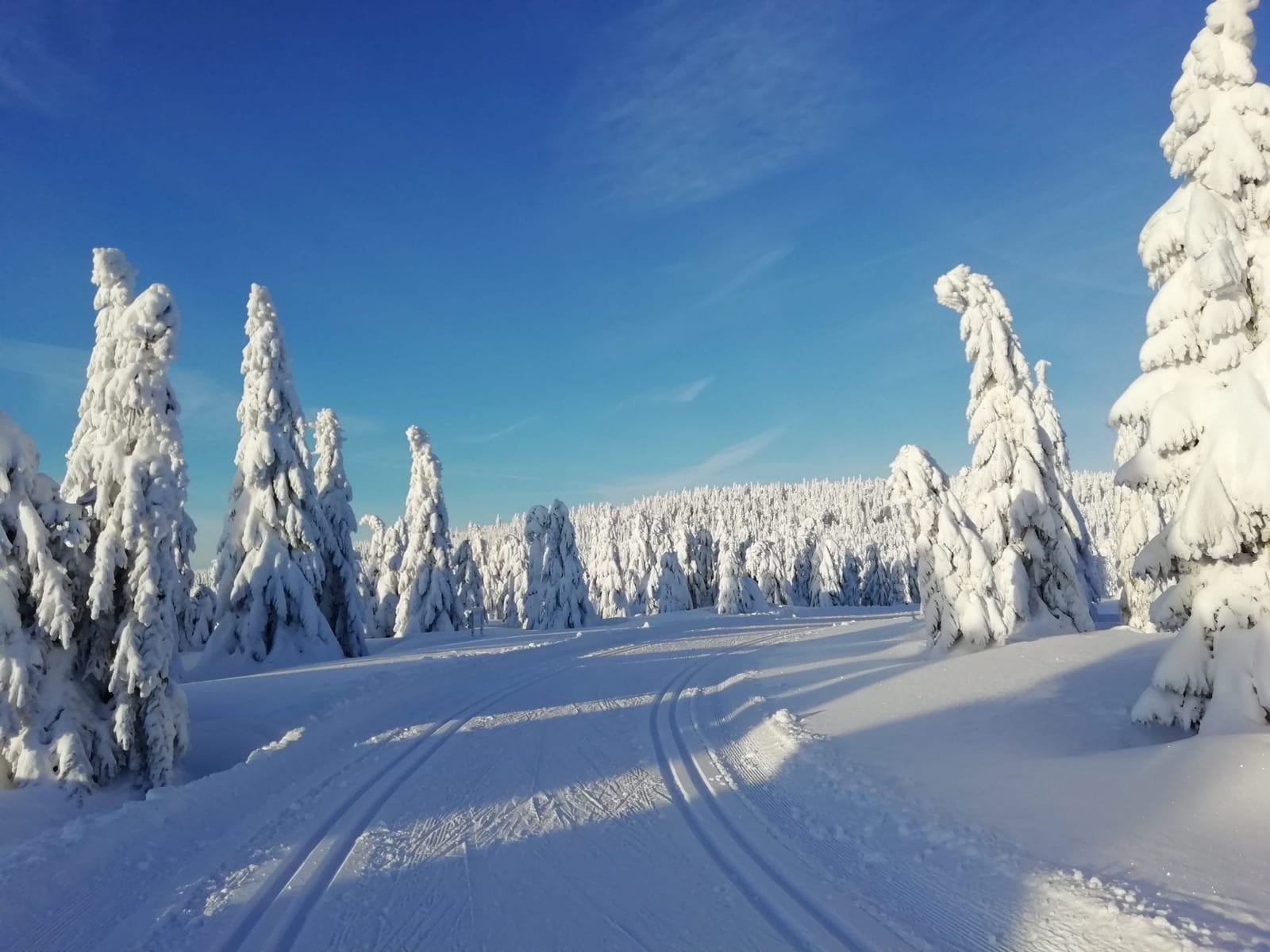 Czech Republic: The Best Place For Cross-Country Skiing