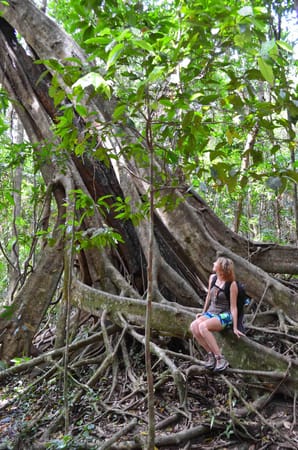 Australia: from Cairns to Cape Tribulation in just one day: photo 3