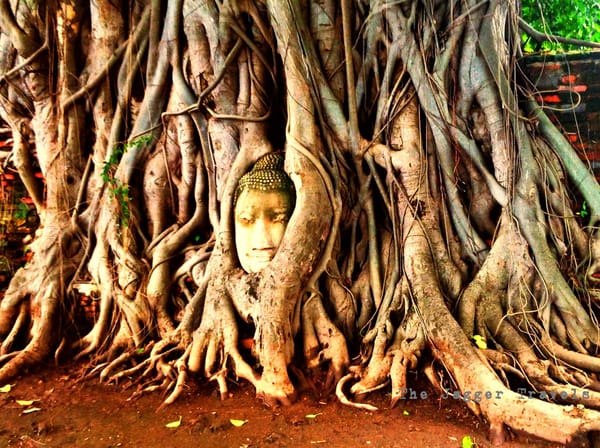 Ayutthaya: The Lost City of Siam: photo 5