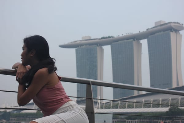 Singapore: Free trip by Transit Ticket: photo 2