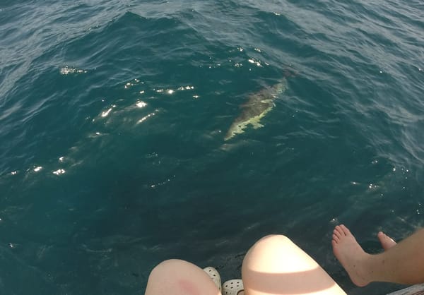 Sailing the Strait of Gibraltar: photo 4