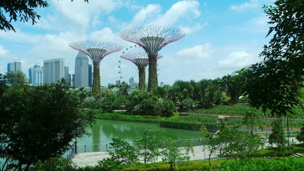 Singapore - Advice for a first time traveller: photo 2