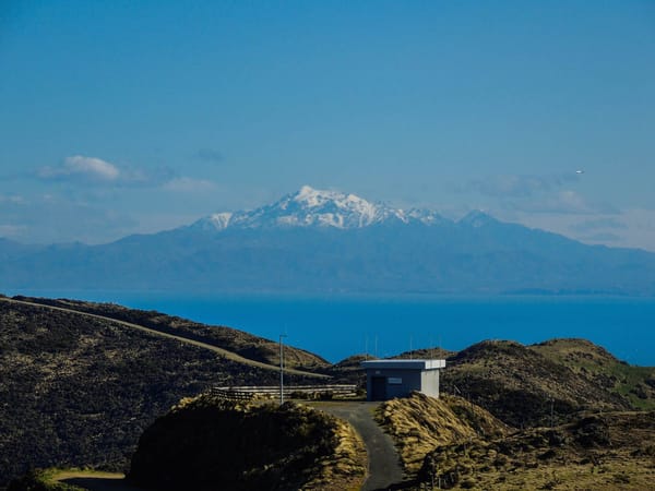 Hawkins Hill: The Hidden Gem of Wellington, New Zealand: photo 6