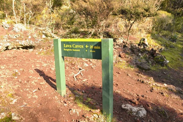 New Zealand : the land of wonders: photo 5