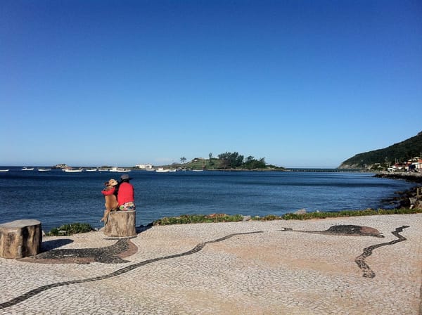 The Magic of Florianopolis: photo 5