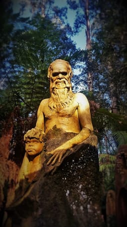 A Day in the Dandenong Ranges: photo 4