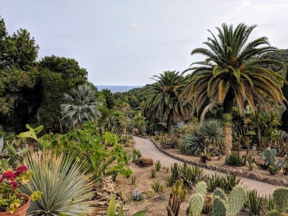 Why Lloret De Mar, Spain, should be on your bucket list: photo 7