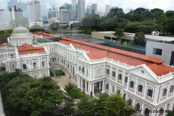 Singapore: An Urban Jungle Surprise: photo 4