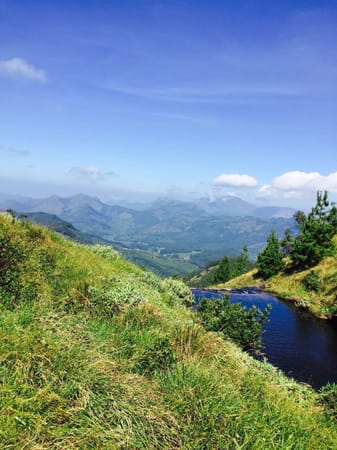 Best Place to Take a Trek in Munnar: Meesapulimala: photo 2