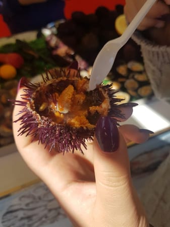 Your guide to Essaouira : The hipster city of Morocco: photo 10