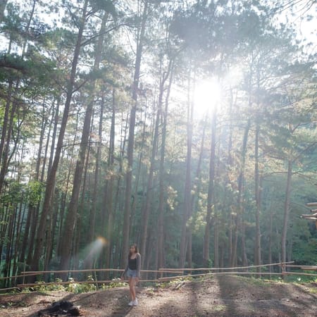 A Hike to Remember: Bucari, Iloilo, Philippines: photo 7