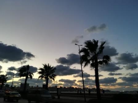 5 Must See Places in Alexandria, Egypt: photo 6