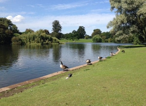 St. Albans - The Romans city: photo 8