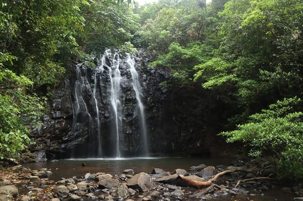 Explore Far North Queensland: photo 6