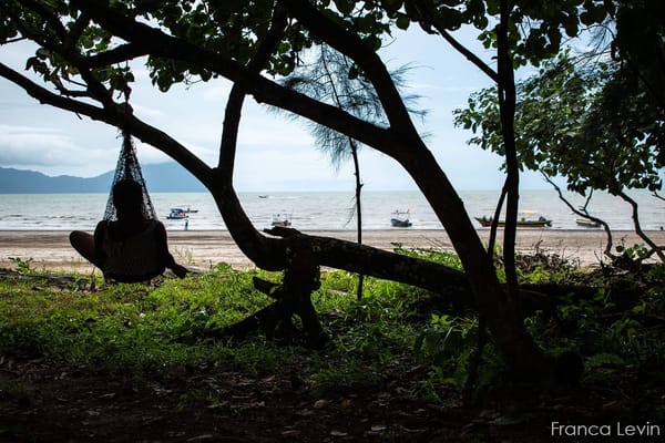 Bako National Park: the complete guide: photo 2