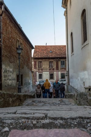 8 Places to visit in Novi Sad: photo 13