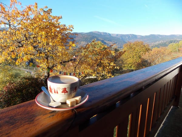 A visual journey of the French countryside: Valley of Munster: photo 6