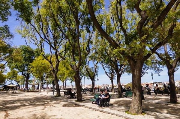Top 5 parks and gardens in Lisbon: photo 9