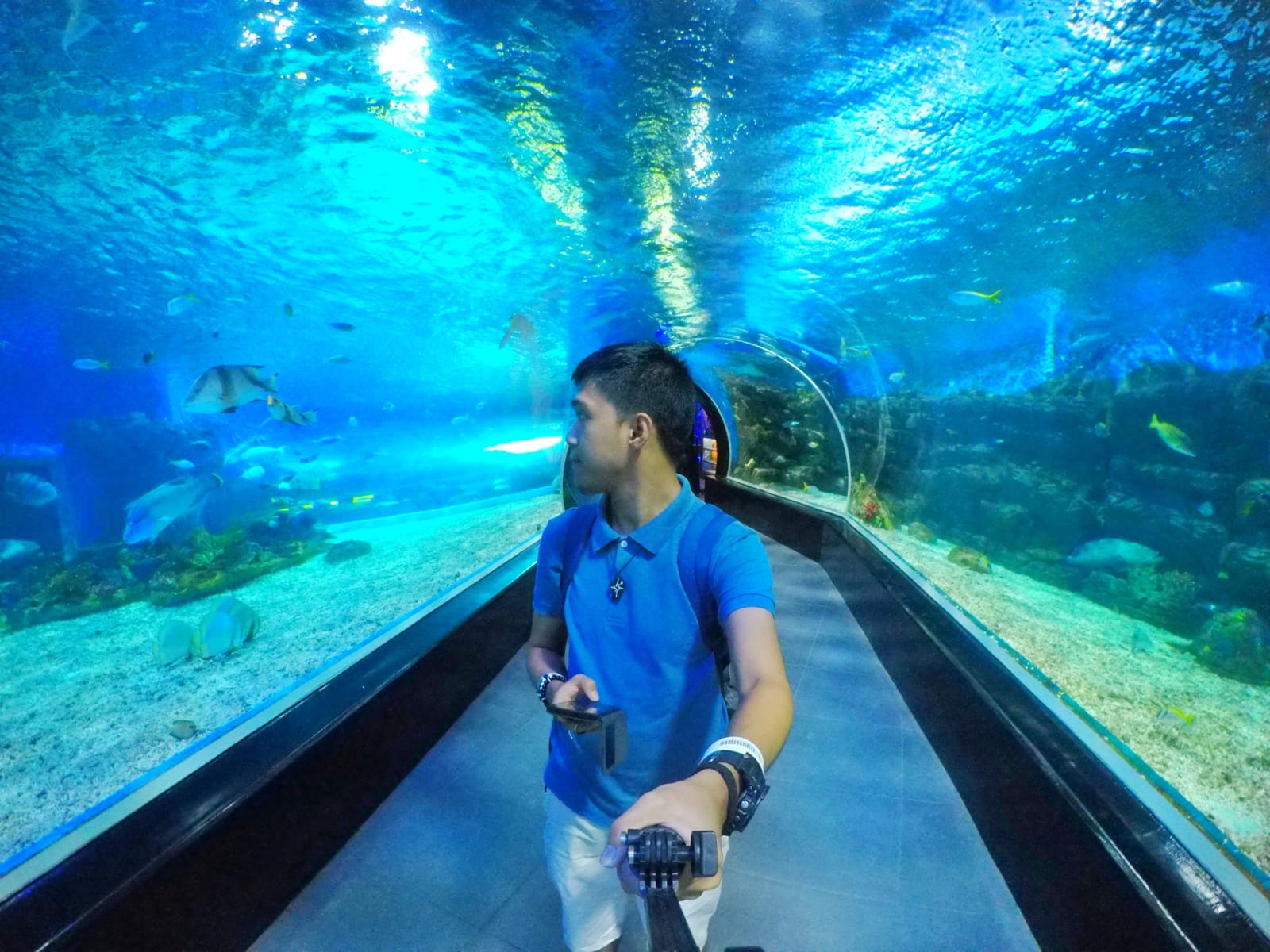 WONDER INSIDE THE OCEAN: Manila Ocean Park