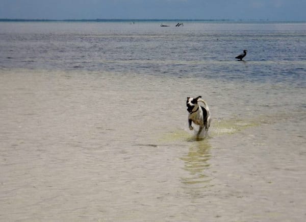 Cancun, Mexico: The side that no tourist knows about.: photo 2