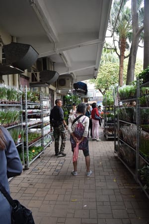 Youth travel guide to Hong Kong, China: photo 11